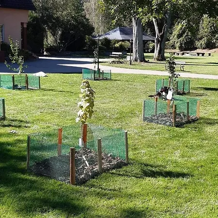 Κατάλυμα σε φάρμα W Zaciszu *