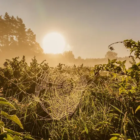 Κατάλυμα σε φάρμα W Zaciszu *