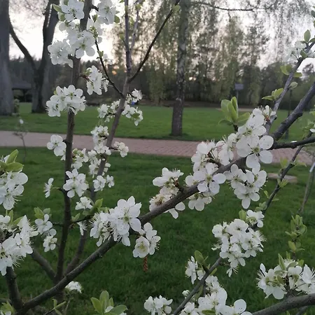 W Zaciszu Κατάλυμα σε φάρμα